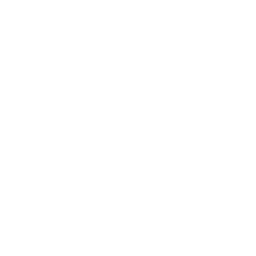 VIN Auto Logo